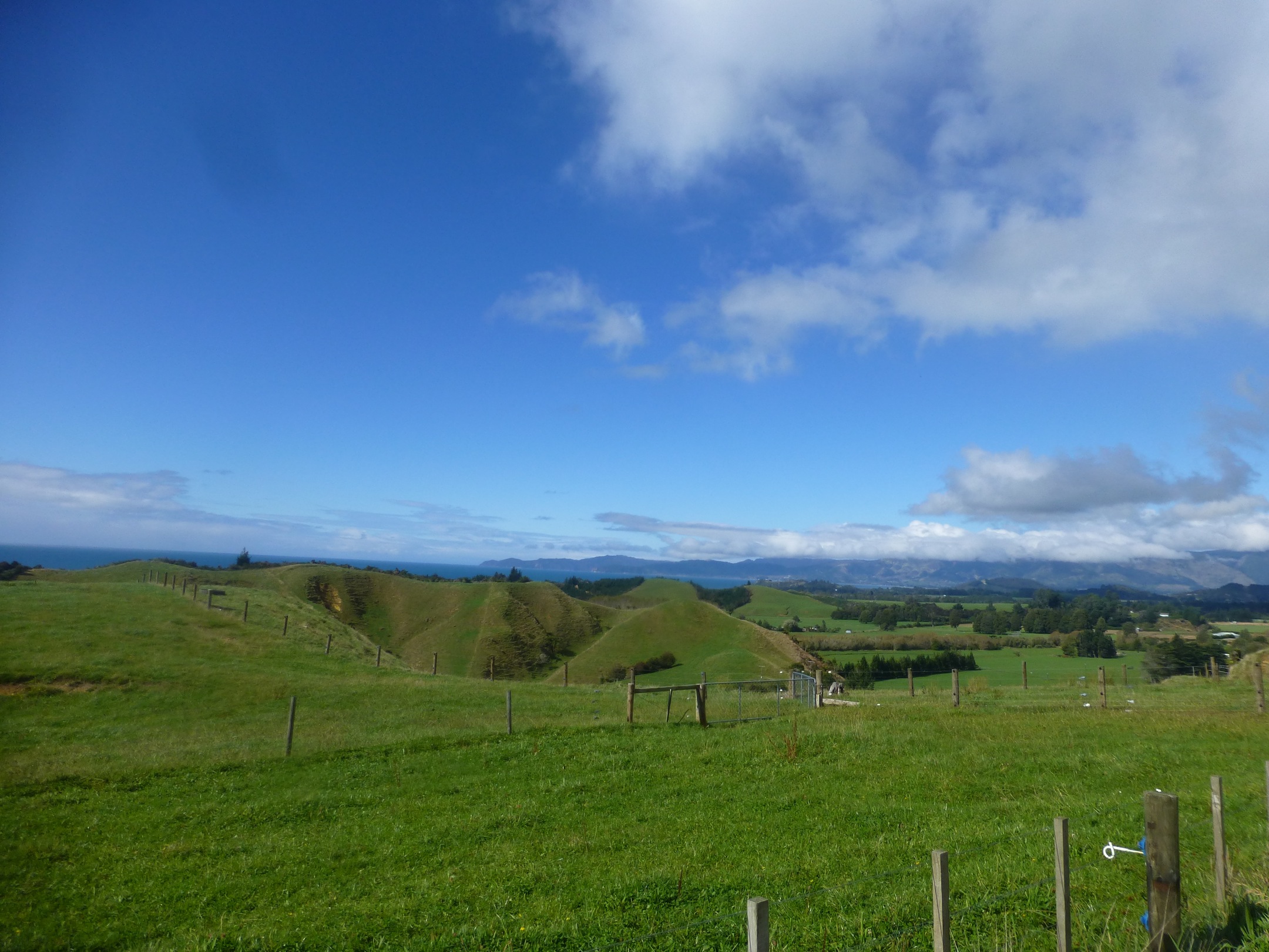 Various pictures from driving in NZ