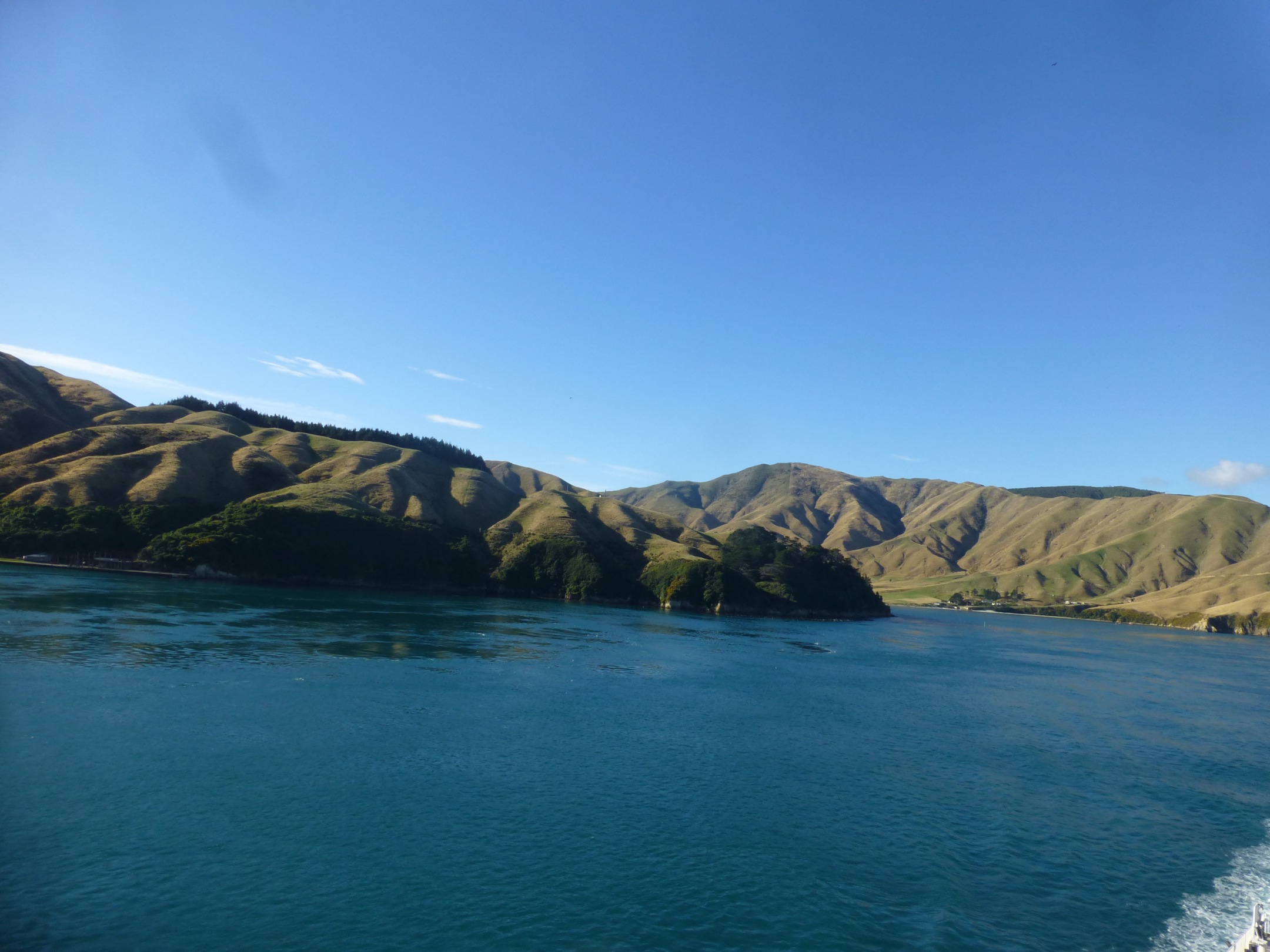 Wellington and Ferry to Picton
